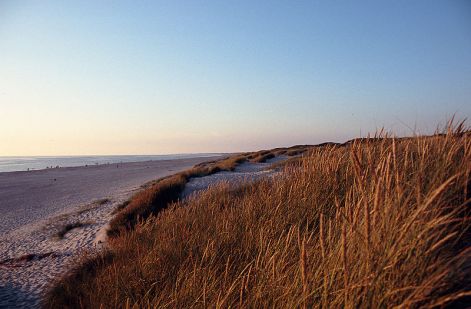 800px-henne_strand_bei_sonnenuntergang.jpg